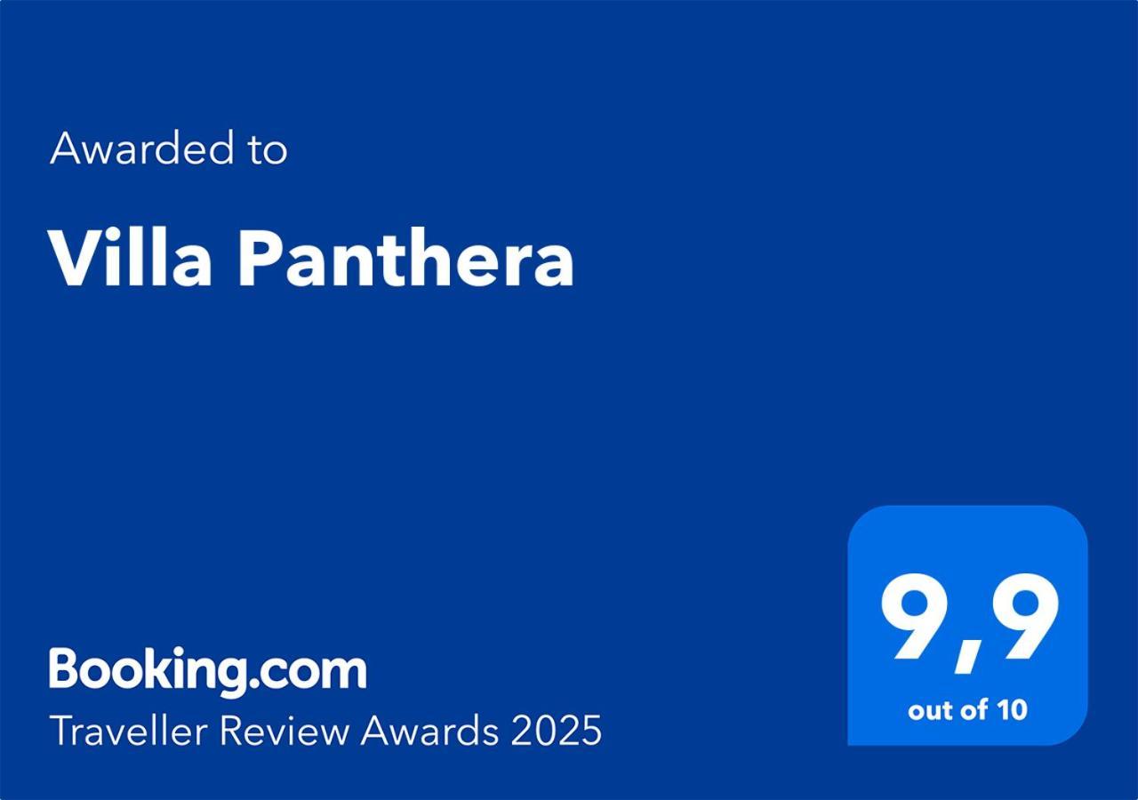 Panthera Vilă *